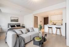 精致二装小开间 诚意出租 随时可看