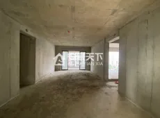 右江区|龙景天际6室2厅3卫出售