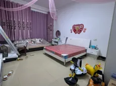 田阳县|玉兰路自建房4室2厅4卫出售|买房租房佣金全返