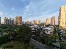 南沙区|碧桂园天玺湾3室2厅2卫出售