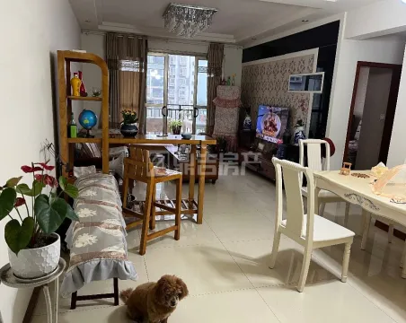 百安星城2室2厅1卫普通