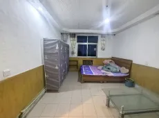 金川区|9号区2室1厅1卫出售