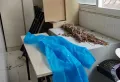 金光花园4室2厅2卫1阳台189㎡ 带超大入户花园6