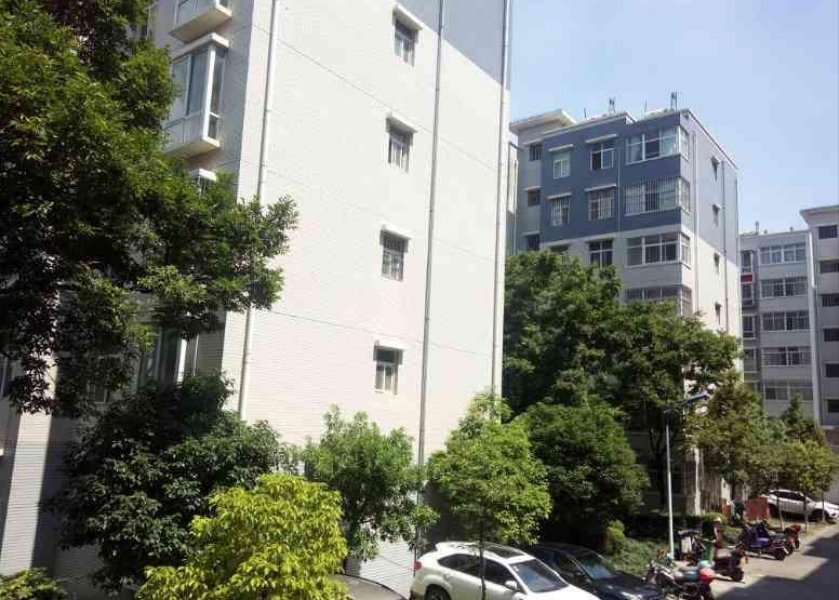 麒麟区东片区普通4室2厅2卫二手房出售17