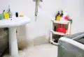 丁香14/316/55/50/11