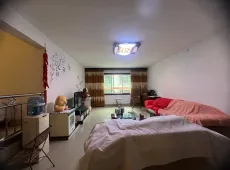 平武县|旺龙小区3室2厅2卫出售|买房租房佣金全返