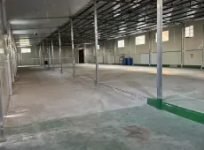 蕉城区|后岗报恩寺后面厂房仓-室-厅-卫出租