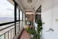 枫林和平花园 独具特色 自然资源 宁静和谐2