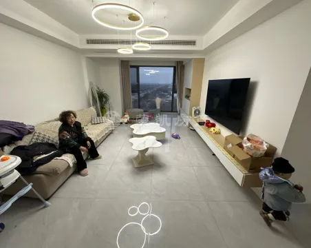 万象国际3室2厅1卫普通