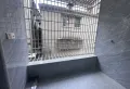 深源里周边配套完善，精装 有钥匙带您看4