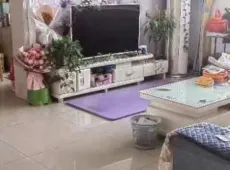 莒县|莒县书香苑3室2厅1卫出售|买房租房佣金全返