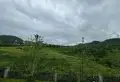 湖山悦府双拼别墅 朝南上下五层 地下室可做落地窗 带4个车位1