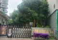 六里村三室 步梯三楼 拎包入住13