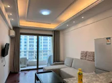 龙湖区|尚海阳光铂金公寓1室1厅1卫出租