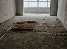 大名县|东方明珠2室2厅1卫出售