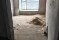 盛世华府10号楼，原价卖，没车位地下室，已付全款3