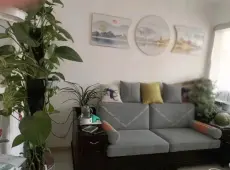 东港区|水泥厂家属院3室2厅1卫出售