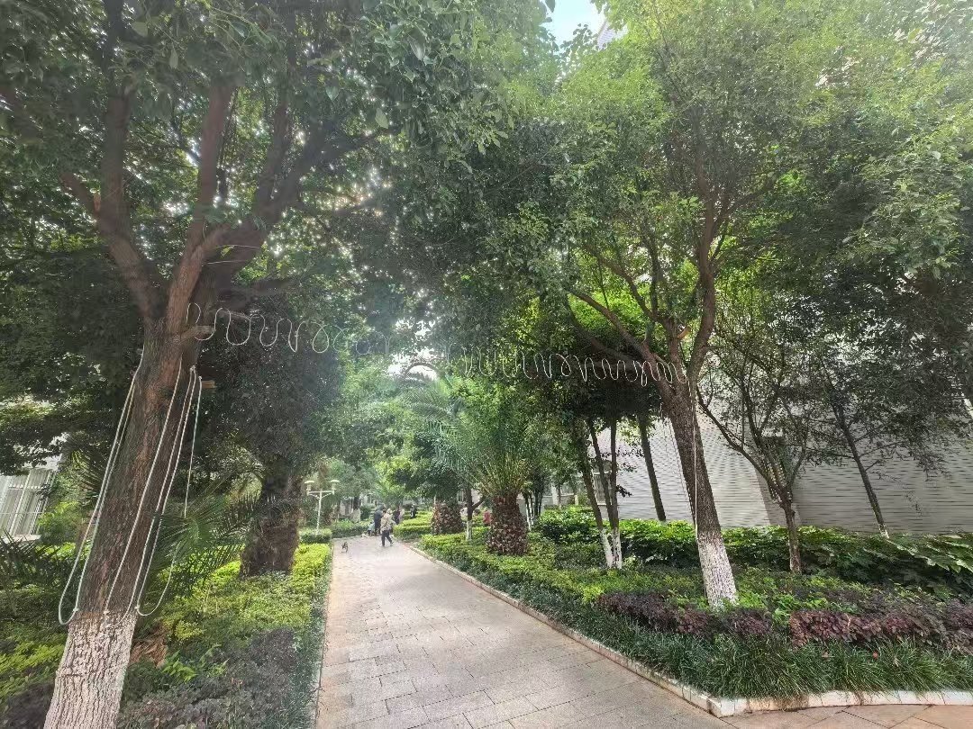 麒麟区东片区精装3室2厅2卫二手房出售12