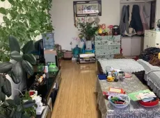 金川区|步行街金水湾B区2室1厅1卫出售