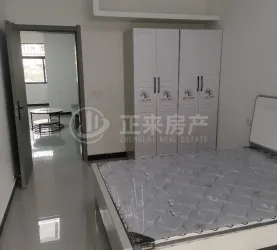 枣阳市-城南-化肥厂东院