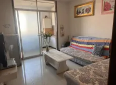 竞秀区|荣域铂庭1室1厅1卫出租