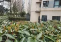 美的城  独具特色 自然资源 宁静和谐3