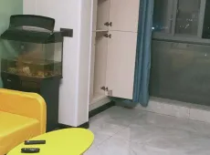 嵊州市|金湾国际1室1厅1卫出租