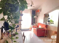 龙凤区|湖滨花园1室1厅1卫出售|买房租房佣金全返