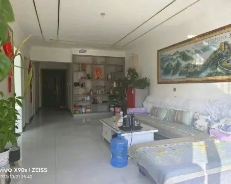 唐人街2室2厅1卫普通