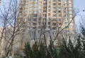 中集青春里交通便利精装1室1厅1卫1阳台12