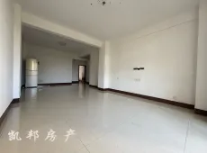 田阳县|地王国际3室2厅2卫出售|买房租房佣金全返