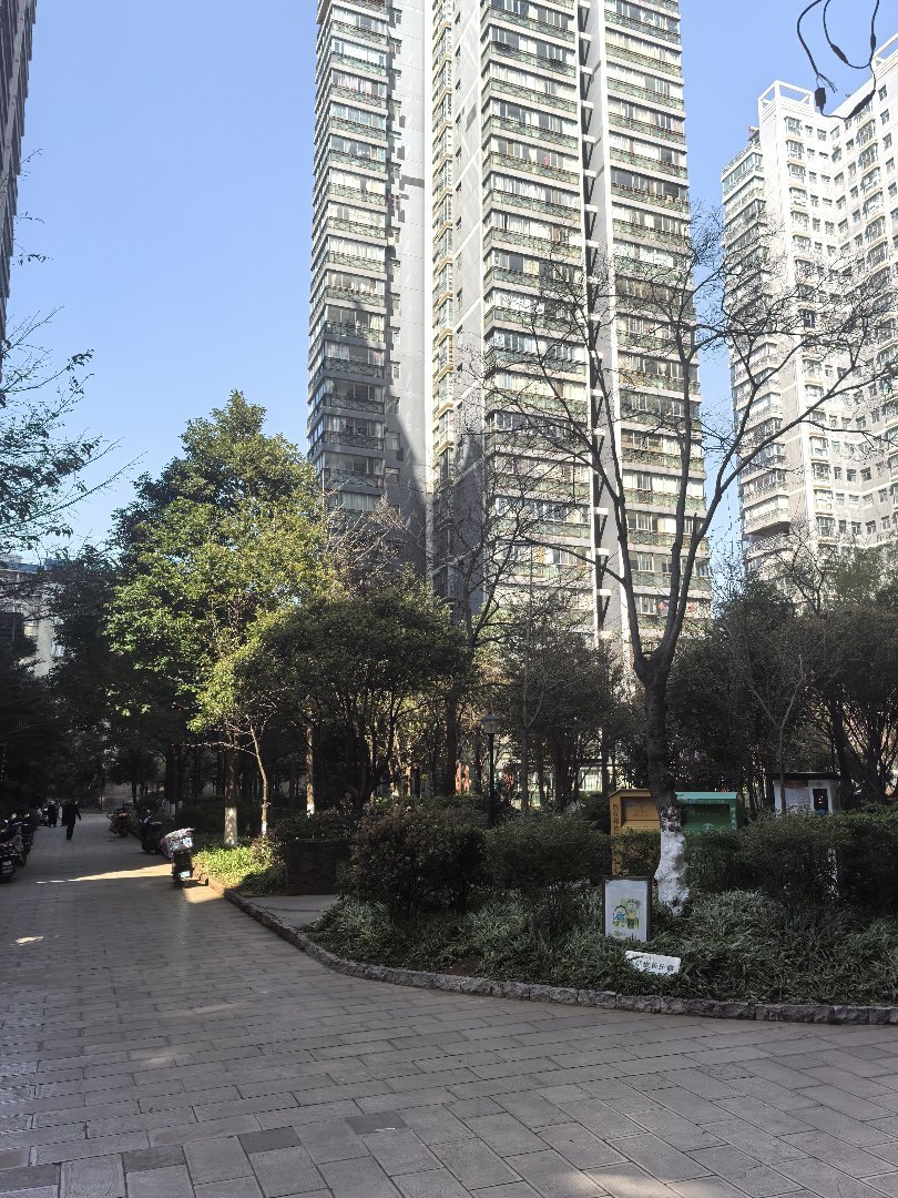 龙城国际,龙城格局好,十年难遇 户型，不容错过16