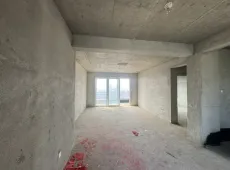 叶县|昆阳府4室2厅2卫出售