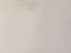 平舆县|金鑫温泉花园3室2厅1卫出售|买房租房佣金全返