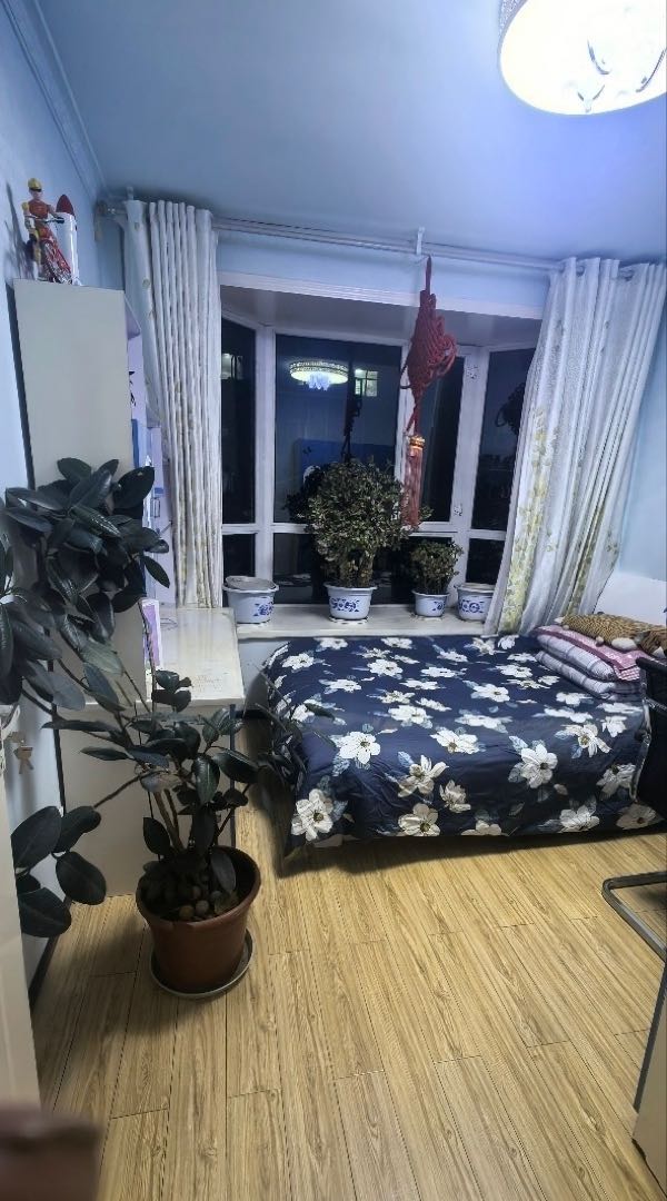 明珠花园小区3室1厅1卫朝南北普通出租2