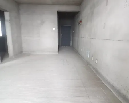 慧湖公馆2室2厅1卫毛坯
