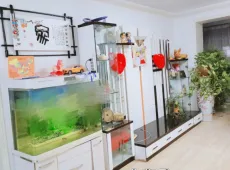 金川区|金盛华城3室2厅2卫出售