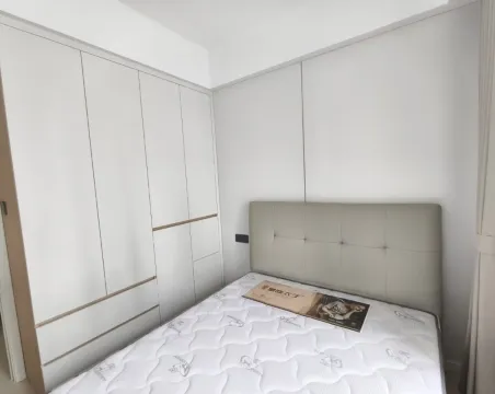 碧桂园旌湖上境北区3室2厅1卫精装