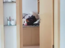 郊区|白鹤家园3室2厅1卫出售