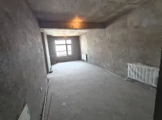 铁西区|东北摩尔1室1厅1卫出售