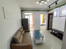 竞秀区|西大园新区1室1厅1卫出租