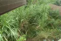 周边配套设施齐全,性价比超高晶泽汐樾18