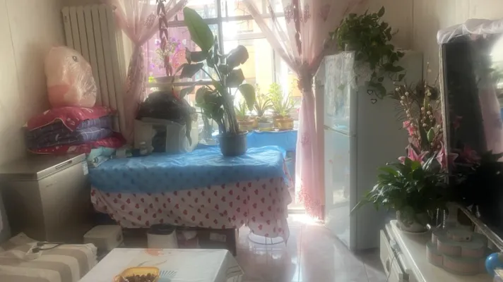 城中区大兴街兴隆巷一室一厅一卫南北通透 户型方正分户采暖