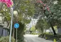 美好家园三楼3室2厅1卫2阳台，1