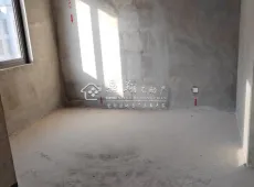 三门县|保集御府4室2厅2卫出售
