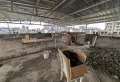 南北通透,3室2厅2阳台全南,户型非常棒,有户型为证2