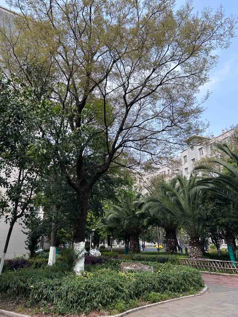 麒麟区东片区精装3室2厅2卫二手房出售14