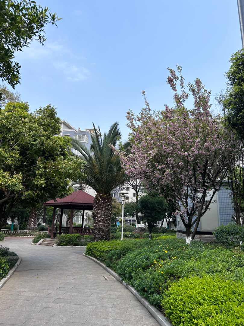 麒麟区东片区精装3室2厅2卫二手房出售15