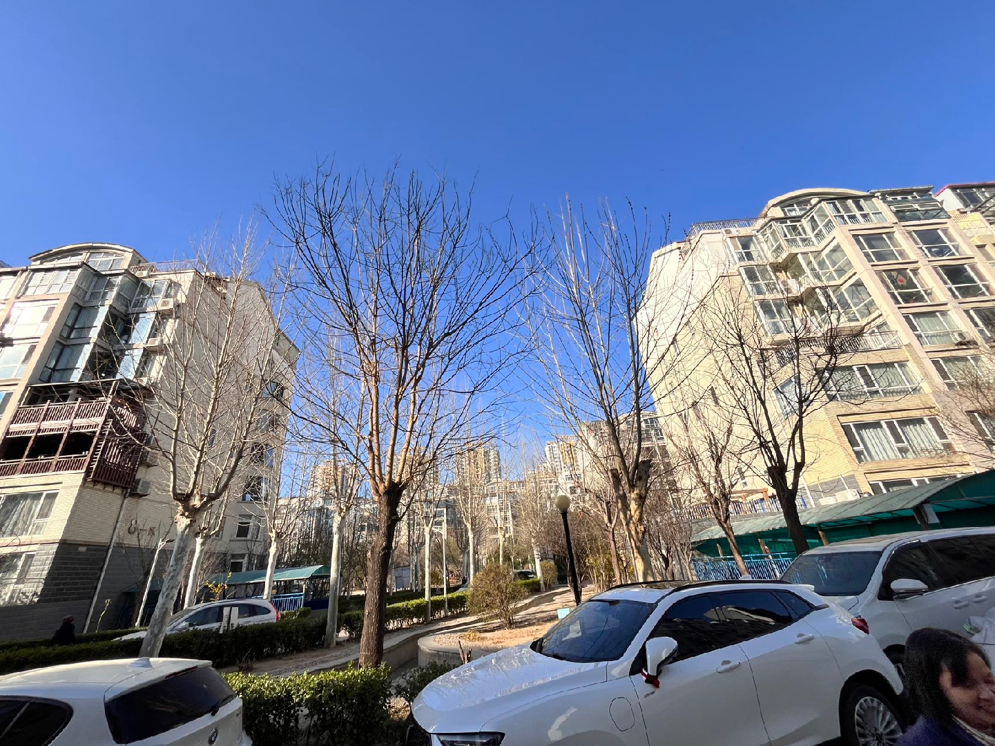 莲池区新保师附小普通3室3厅3卫二手房出售13