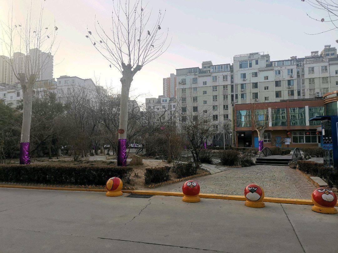 莲池区新保师附小普通3室3厅3卫二手房出售17